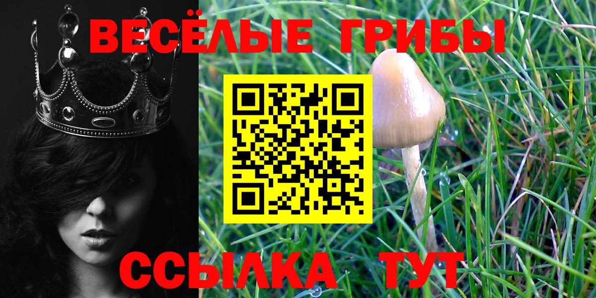 Псилоцибиновые грибы GOLDEN TEACHER  Вход с VPN  Красноярск 